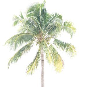 Meet your Posher, Paige